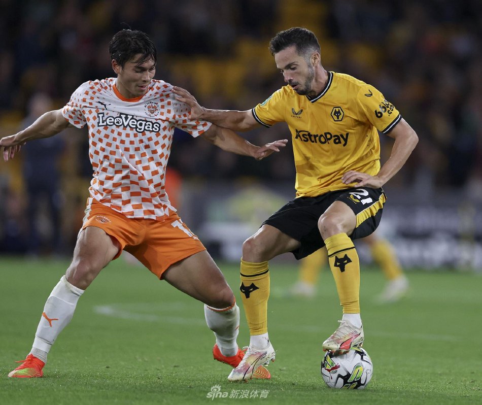 注球员的身 注球员的身